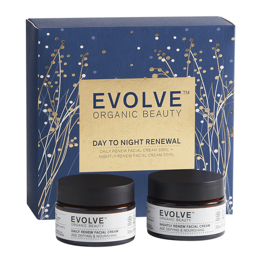 Day to Night Renewal